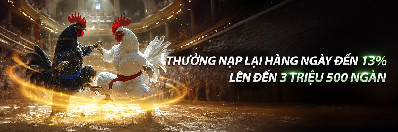 Đá Gà 55vin Cổng Game - Đấu trường kịch tính